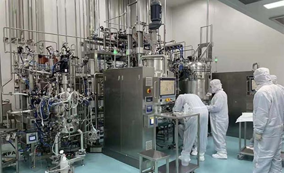 SAT биореактора ферментера с автоматическим магнитным перемешиванием в Корее